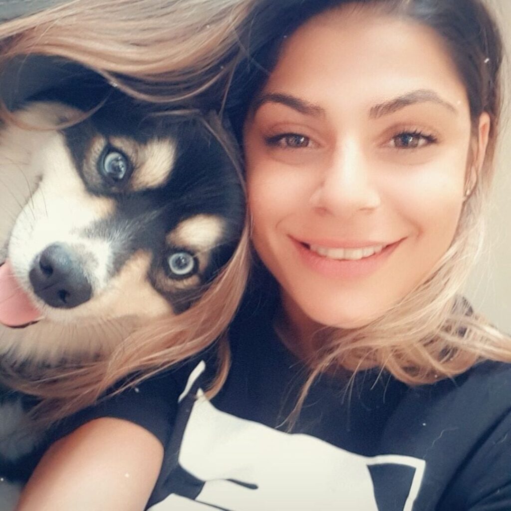 hondentrimsalon alkmaar